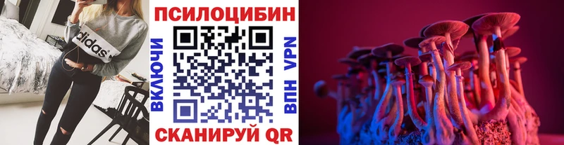 blacksprut как зайти  Каспийск  Псилоцибиновые грибы Cubensis 